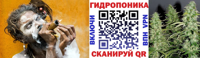 Бошки марихуана сатива Невельск